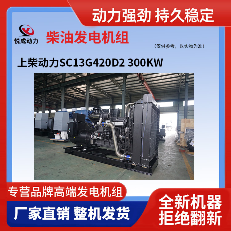 上柴动力SC13G420D2 300KW 3.jpg